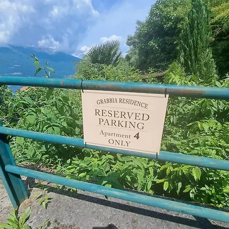 Alma * ベッラーノ